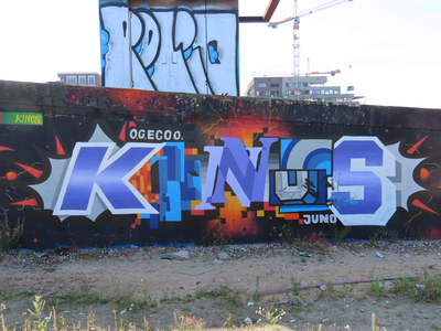 850610 Afbeelding van graffiti met de tekst 'KINGS', op een muur langs de jongerenplek Teen Spot ('De Kuil van Leidsche ...